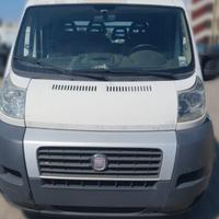 Furgone Fiat Ducato cassonato Bianco d