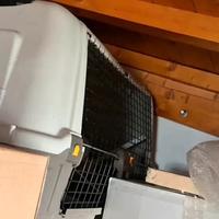 Trasportino da auto per cane grande.