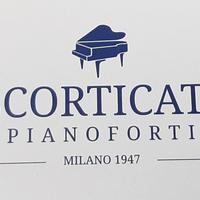 Scorticati Pianoforti- Steinway&sons vari modelli