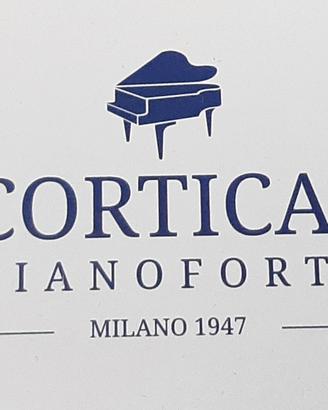 Scorticati Pianoforti- Steinway&sons vari modelli