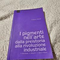 i picmenti nell'arte della preistoria alla rivoluz
