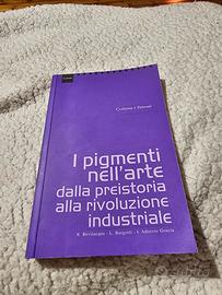 i picmenti nell'arte della preistoria alla rivoluz