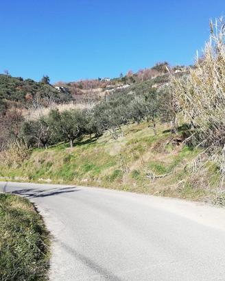 TER. RESIDENZIALE A OLEVANO ROMANO