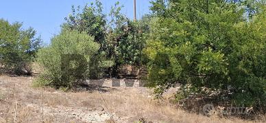 Terreno - Vittoria
