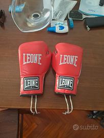 Guantoni Boxe Leone