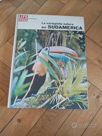 Life Epoca - La variopinta natura del Sudamerica