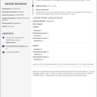 Lavoro di lavapiatti