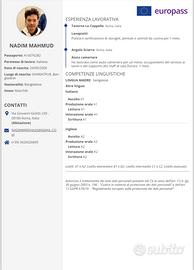 Lavoro di lavapiatti