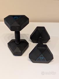 Coppia Manubri Pesi Palestra 7 kg
