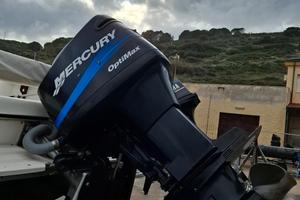 motore marino Mercury OptiMax 150 cv