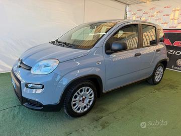 FIAT PANDA 1.0 BENZINA/IBRIDA 70CV