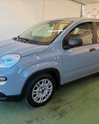 FIAT PANDA 1.0 BENZINA/IBRIDA 70CV