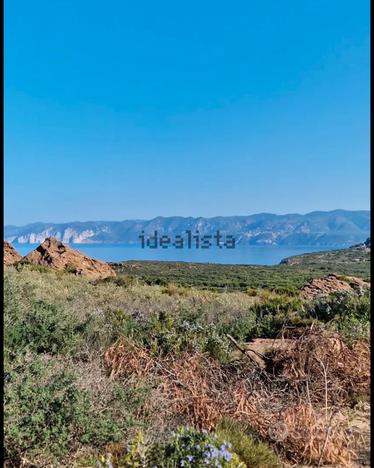 Terreno agricolo