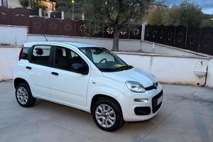 Fiat Panda NATURAL POWER METANO BENZINA CLIMA UNIP