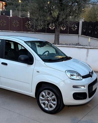 Fiat Panda NATURAL POWER METANO BENZINA CLIMA UNIP