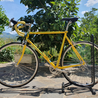 Bici fausto coppi