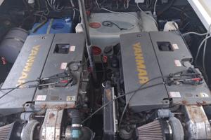 2 motori Yanmar Diesel ore + piedi bravo 3