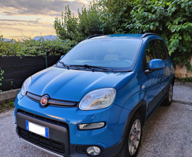 Fiat Panda Serie tre 4x4 benzina