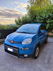 Fiat Panda Serie tre 4x4 benzina