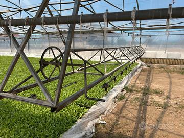 Carroponte 9 metri con Binario per serra