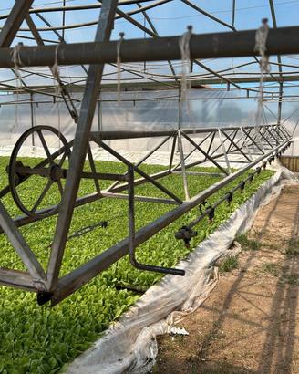 Carroponte 9 metri con Binario per serra