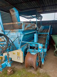 Scava raccogli patate