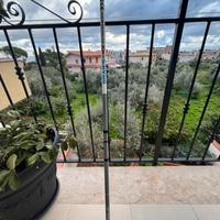 camma da pesca per bolognese