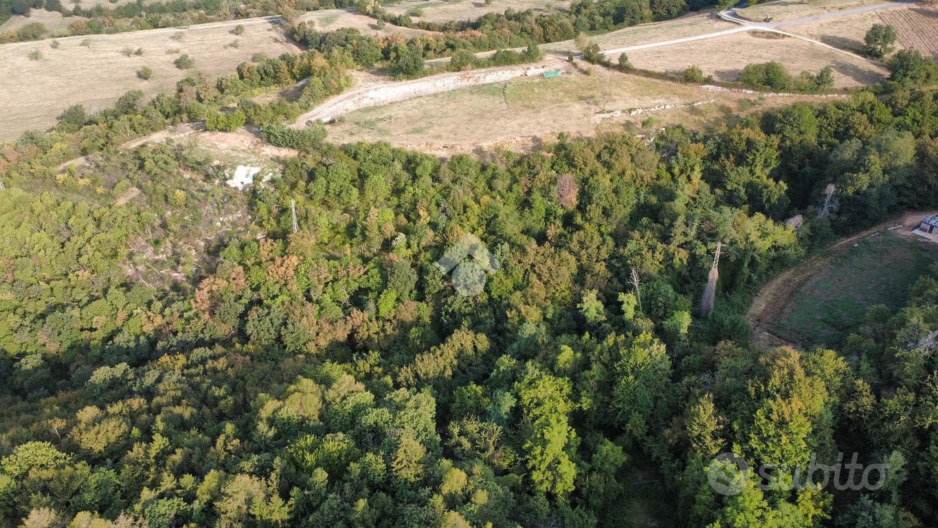 TER. AGRICOLO A CERRO VERONESE - Altro