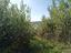Immagine 7