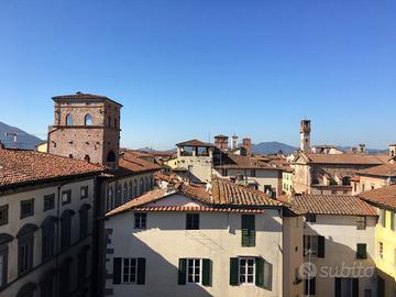 Locale commerciale a Lucca