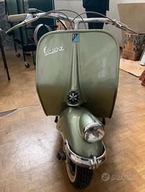 Vespa bacchetta V11T