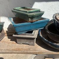 Lotto vasi per bonsai