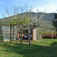 Terreno La Fiora Alta - Terracina (LT)