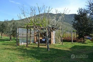 Terreno La Fiora Alta - Terracina (LT)