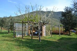 Terreno La Fiora Alta - Terracina (LT)