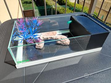 acquario in vetro tartaruga acqua 