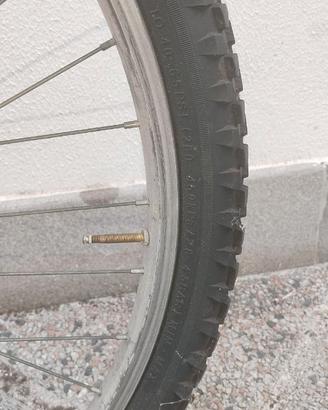 Bicicletta, buono stato