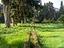 Immagine 23