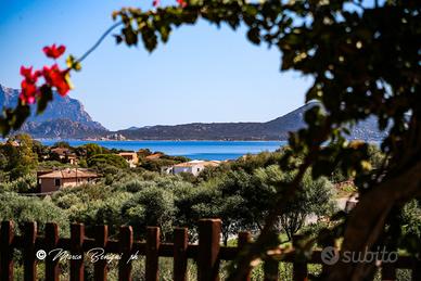 Pittlongu - Olbia Trilocale apndida vista mare