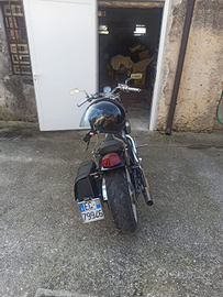 Honda shadow colore blue moto apposta