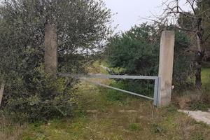 Seminativo + vecchi fabbricati - ribassato