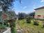 Immagine 18