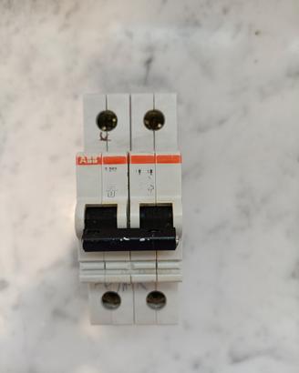 Interruttore Bipolare ABB S252 C16 2 Moduli DIN 