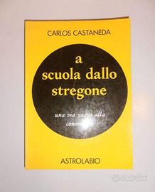 A scuola dallo stregone - C. Castaneda