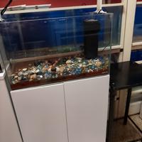 acquario aquael ultra scarpe 60