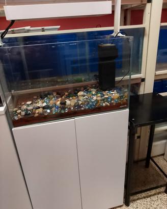 acquario aquael ultra scarpe 60