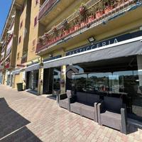 NEGOZIO A POLLENA TROCCHIA