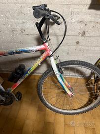 Mountain bike bicicletta uomo