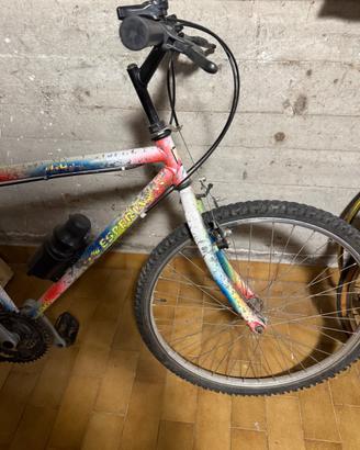 Mountain bike bicicletta uomo
