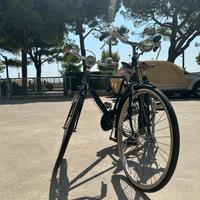 Unica coppia di biciclette d’epoca raileigh